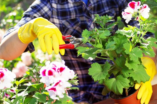 Gardener sorting green waste on-site in Mill Hill