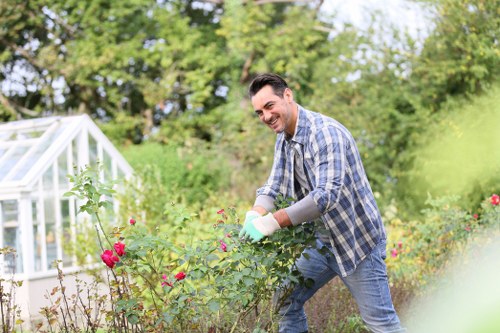 Inspector reviewing a garden during a complaints investigation