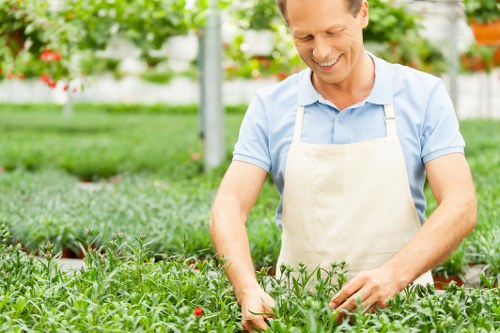 Close-up of plants and service notes for a garden maintenance job