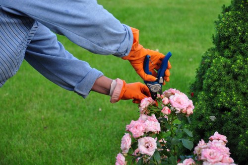 Maintenance crew coordinating accessible garden visit